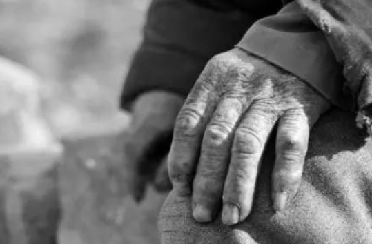 心理测试:三双手掌,哪一双最苍老无力?测你靠什么养活自己!