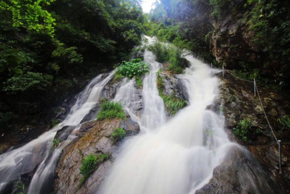 夢一般的溪流歡快流淌 溪水清澈見底 觀泉瀑飛濺,聽鳥叫蟬鳴 充分享受