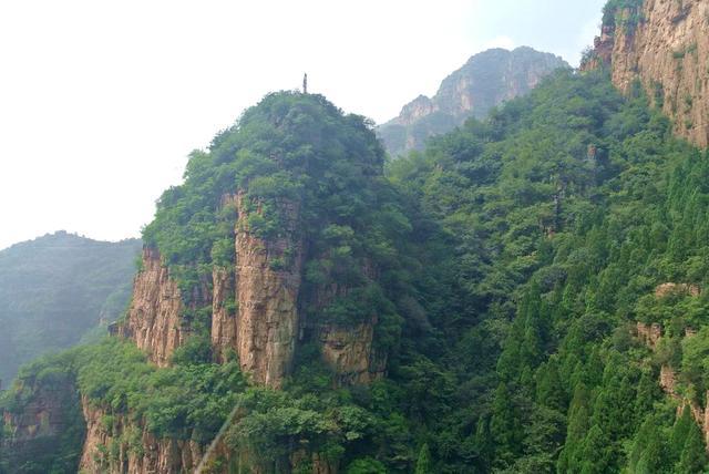 他是狼牙山五壯士之一,跳崖靠樹枝撿回一命,後來怎麼樣了?