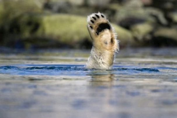 二氧化碳背黑锅全球气候变暖的真相浮出水面人类要小心了