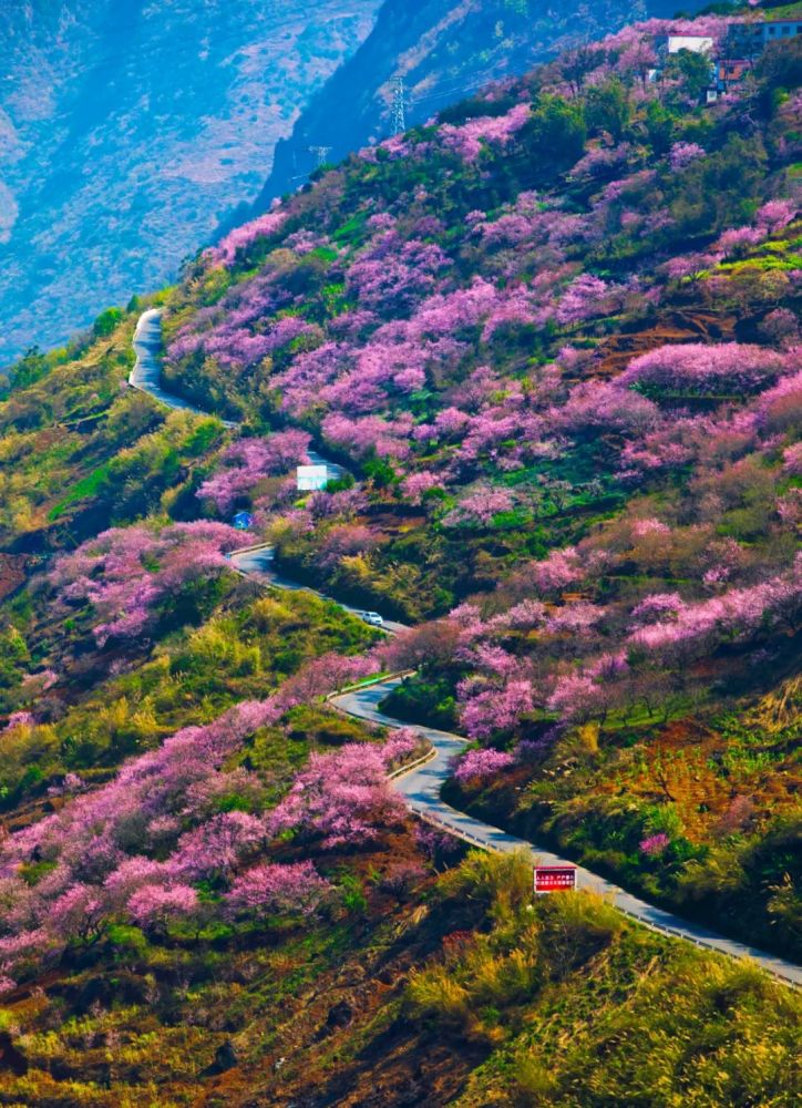 贵州盘江大峡谷隐秘的桃花源——营盘桃花谷