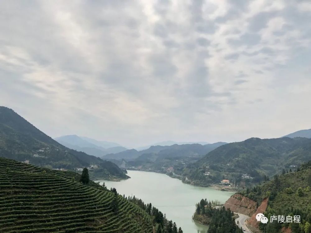 春风十里不如一片茶海汤湖万亩茶山梯田成 天然氧吧 腾讯新闻