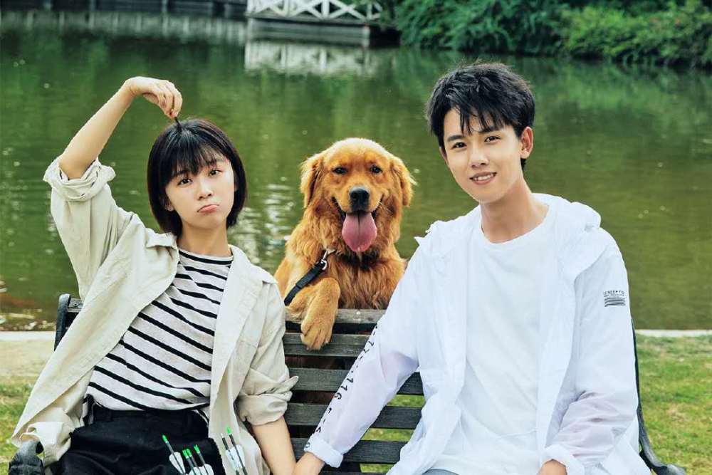 宋伊人龚俊新剧同期开播,甜度不输《冰糖炖雪梨》,熬夜也要追剧