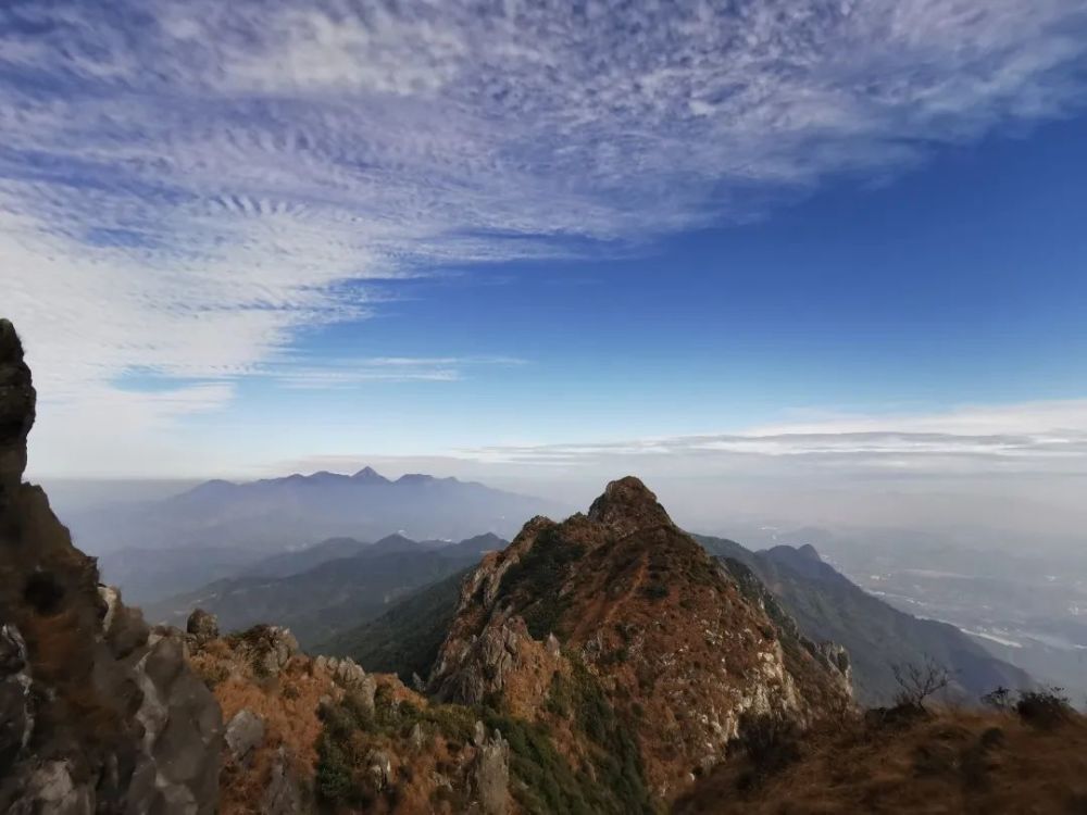 钟定标又见家乡青山绿