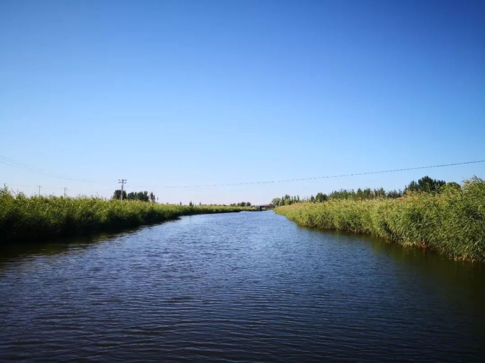 最新府河孝义河河口湿地水质净化工程探访来啦