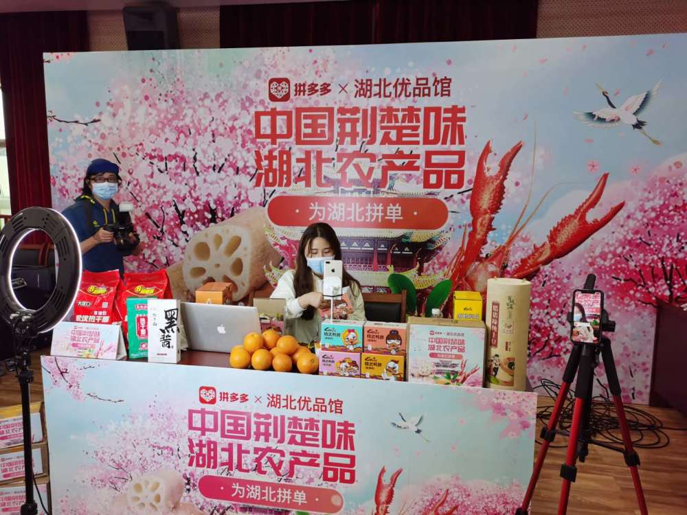 生态农业：绿色发展的新引擎
