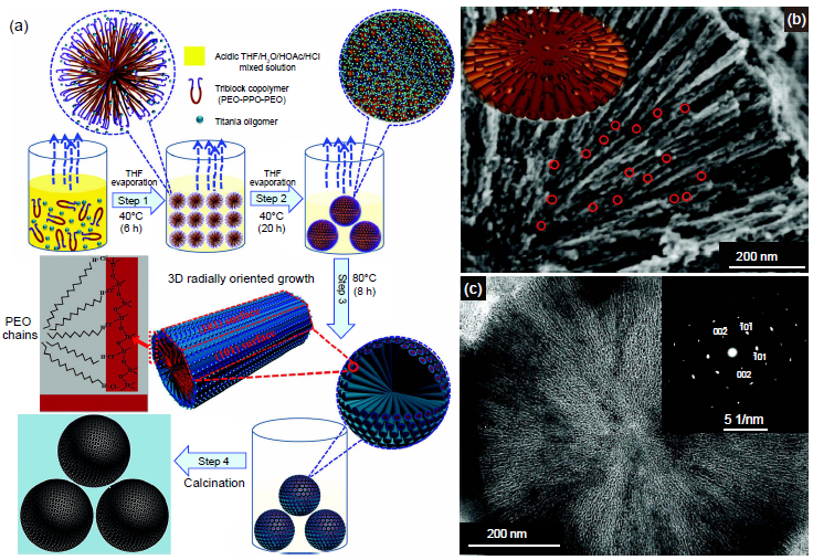 多级孔道介孔tio2微球的(a)合成及(b-c)结构表征(sci adv.