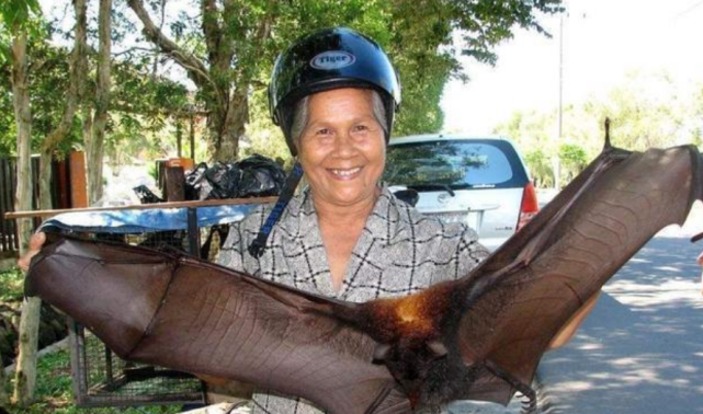 帕劳人喜欢喝"蝙蝠汤",中国游客不明白:这东西怎么吃得下去?