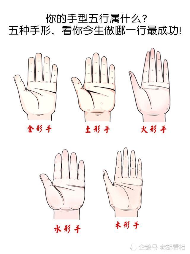 手型也分金木水火土看看你的手型屬什麼做哪行最成功