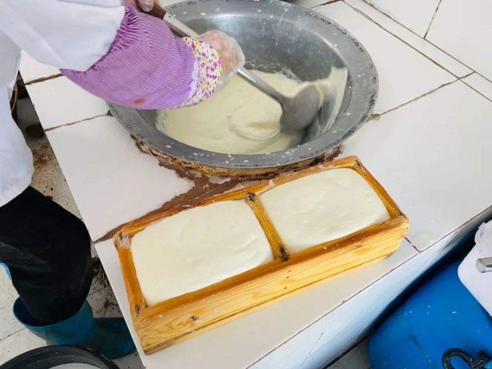 牧民张霞和她的醇香奶豆腐 腾讯新闻