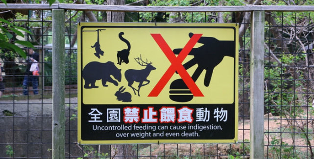 动物园禁止投喂动物,已成为世界很多地方的通行做法