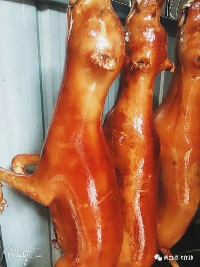 脆皮狗制作工序比较复杂现杀的肉狗要先经过热油淋皮再将皮已经焦脆的