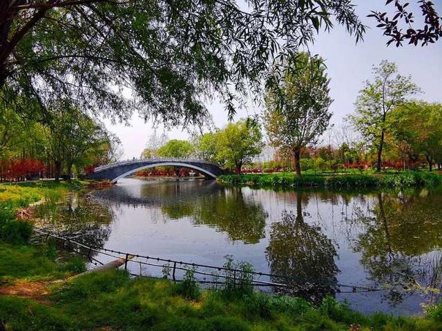 驻马店:重新开放的置地公园,景色如此炫丽_腾讯新闻