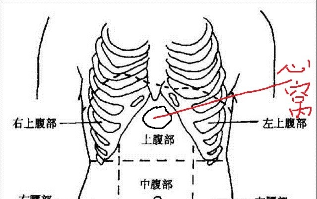 胸膛在哪个位置图片图片