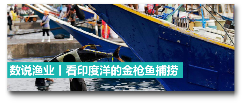 编 辑「数说渔业」特别行动a组林柏亨,王欣迪,王秋怡,罗一鸣排