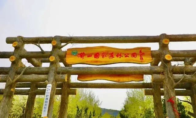新安县春天美景洛阳东汉隋朝名山郁山国家森林公园游记