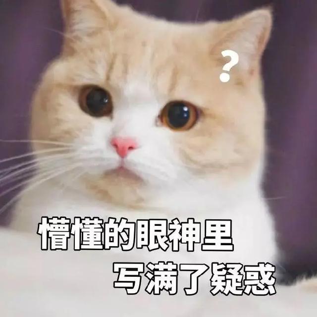 想不通.