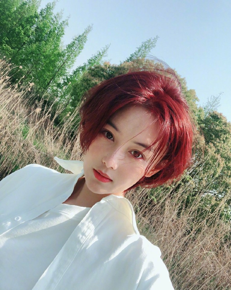 张馨予|馋猫张馨予，满满一盘8个黄豆粉糍粑，全都被吃光了，不禁感叹：好软糯