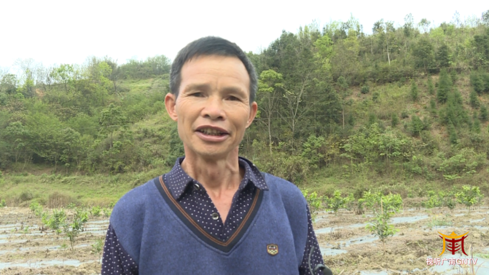 广南县底圩乡柠檬种植基地务工人员 陆春海"每个月除掉各方面的开销