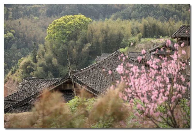 探访中国传统村落霞浦柏洋院边村