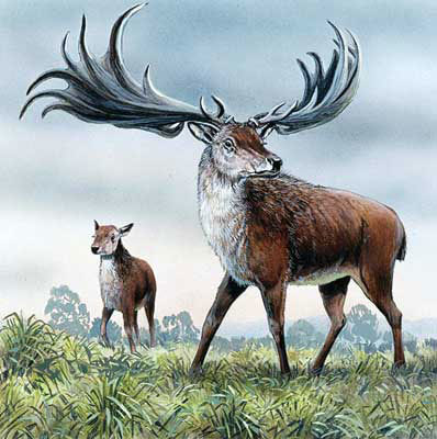 全球10大最可能复活的灭绝动物