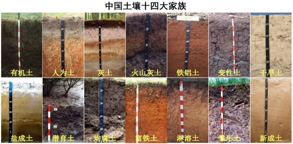 地球的皮肤土壤