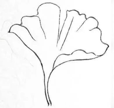 书画联盟丨画白描叶子需要注意这些细节