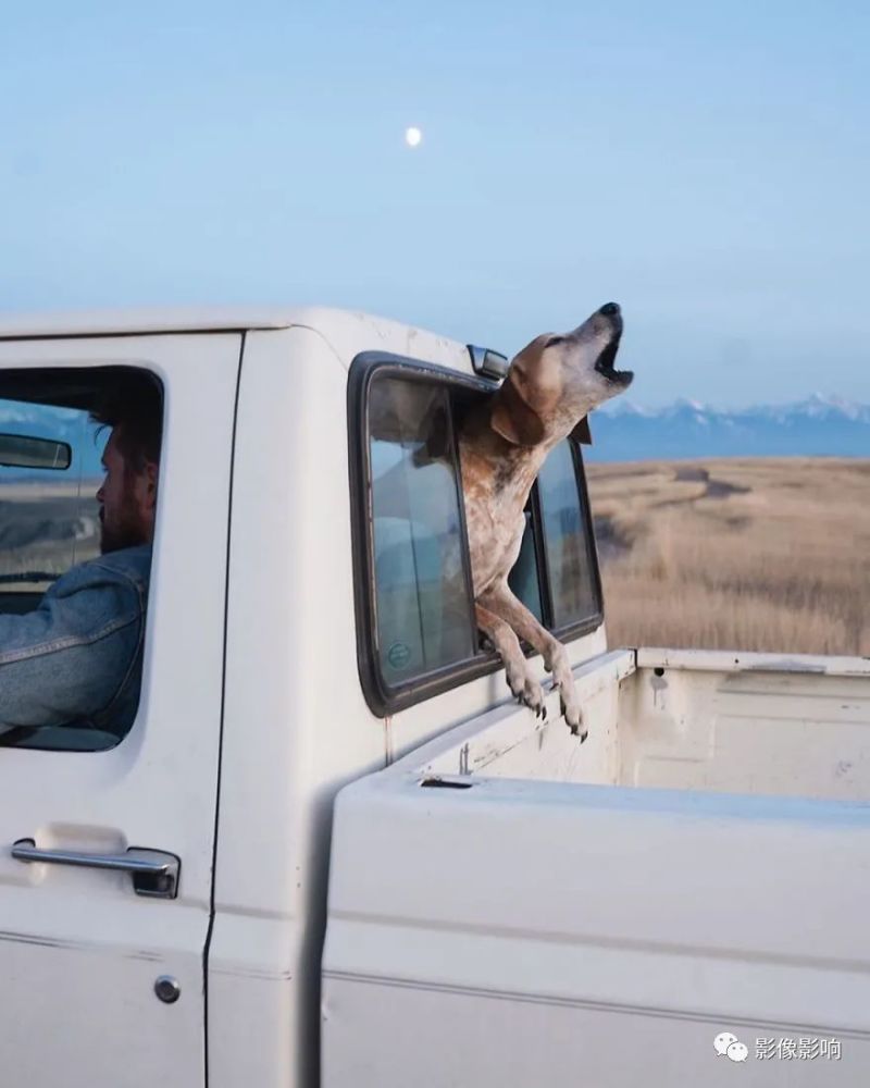 摄影师辞职带着爱犬穿越美国 腾讯新闻