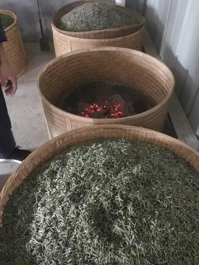 是什么让炭焙茶备受推崇