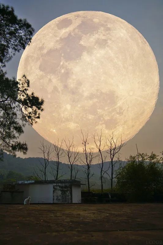 震撼天空竟惊现超大玉盘你有看到吗