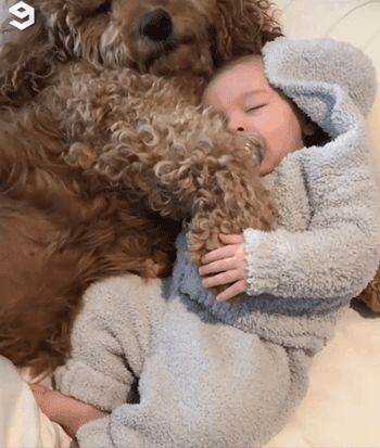 狗狗抱着小婴儿睡觉,网友被萌翻:这是超大号的泰迪熊嘛?