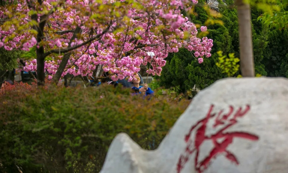 可以晨晚練啦!濟南千佛山風景名勝區等14家公園延長開放時間