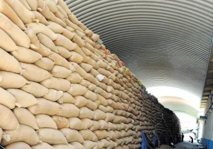 我省粮食"家底厚"储存粮食"没必要"
