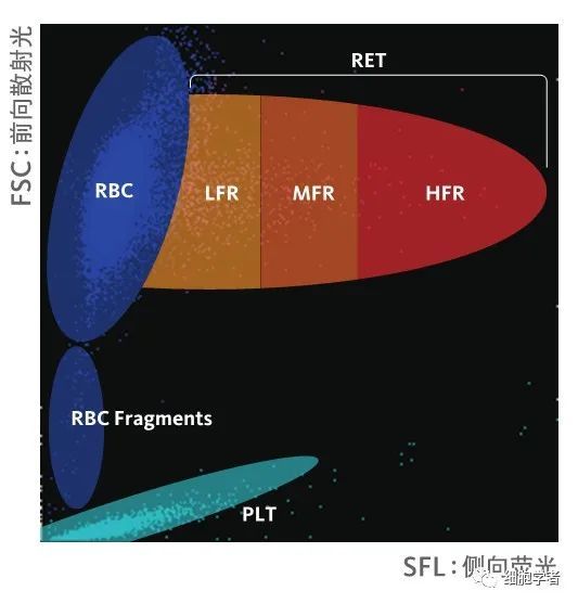 plt:血小板;rbc fragments:红细胞碎片;rbc:红细胞;ret:网织红细胞