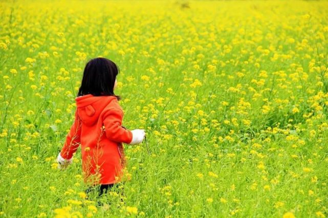 都易损伤肝脏可是如果肝气升发太过或是肝气郁结人的精神焕发在春天