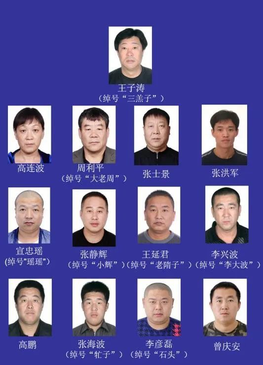 长期盘踞呼兰区严重破坏社会经济和治安秩序