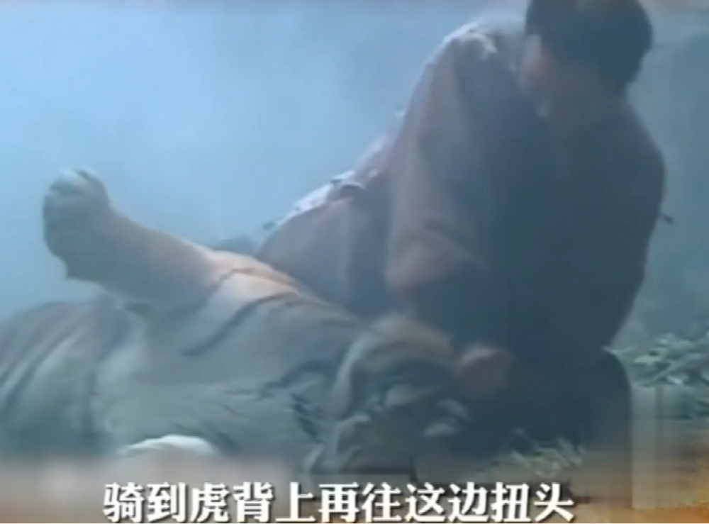 98版武松打虎竟是真老虎!但剧组只给买了10万保险,画面曝光让人后怕