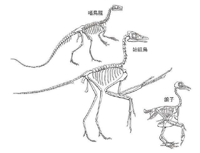 發現疑似