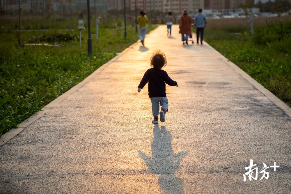 生活回归常态深圳公园人气渐旺