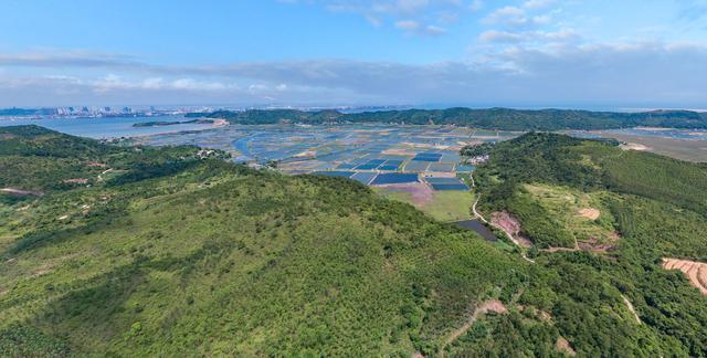 全长约10公里左右,潭蓬古运河把珍珠港和防城港连通了起来,在古代