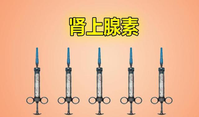 如果说全能医疗箱我们可以不考虑背包容量带上一个应急,那么肾上腺素