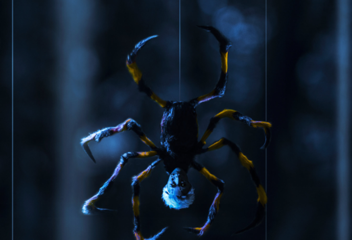 鬼灭之刃真人化有多酷?大神还原善逸大战蜘蛛鬼,雷之呼吸爱了!_腾讯新