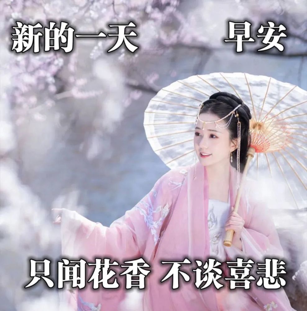 春季问候大家早上好动图表情美女2022清晨祝福早上好问候语温馨语录