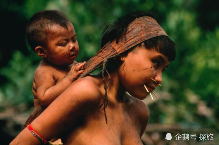 巴西土著部落7人感染新冠肺炎,有灭绝的风险