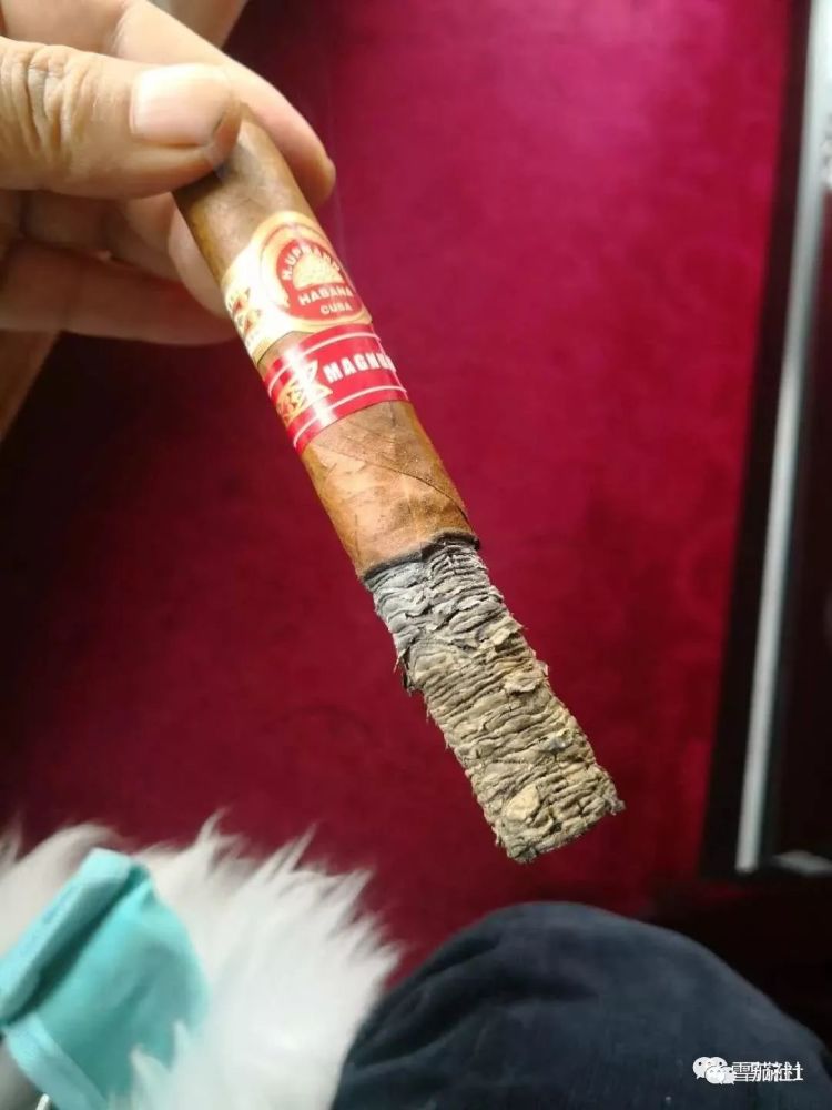 古巴雪茄烟灰变黑的四大缘由 有时真不是品质问题