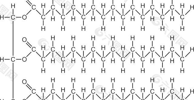 脂肪的分子结构