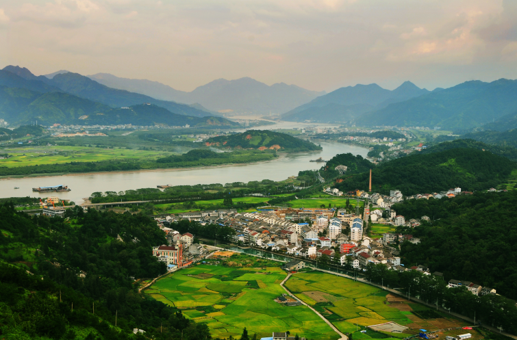 从一根竹竿到一片田园温州鹿城山福镇创新整治手段打造美丽农田景观