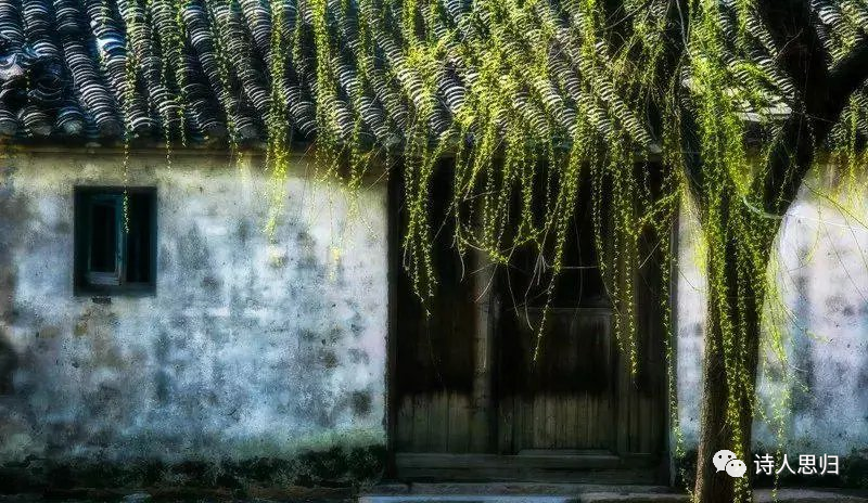 李天宇,朱知甫,忘年交三位老师作品欣赏