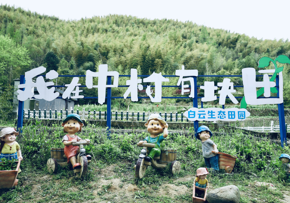 人间凡处有仙境 宁波四明山深处竟还有这样桃花源 腾讯新闻