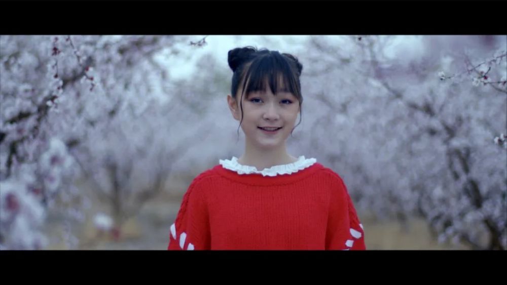 新疆30000亩野杏花惊艳盛开赏花听歌来这就对了